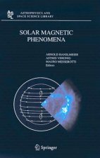 Solar Magnetic Phenomena