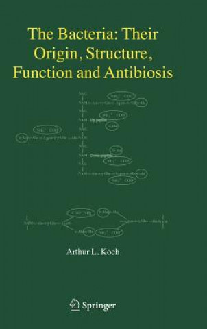 Bacteria: Their Origin, Structure, Function and Antibiosis