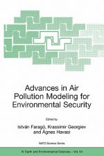 Advances in Air Pollution Modeling for Environmental Security