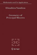 Geometry of Principal Sheaves