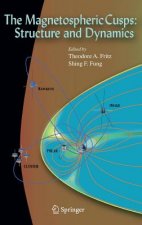 Magnetospheric Cusps: Structure and Dynamics