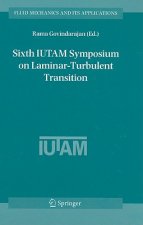 Sixth IUTAM Symposium on Laminar-Turbulent Transition