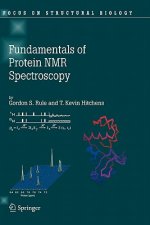Fundamentals of Protein NMR Spectroscopy