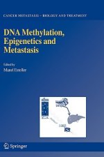 DNA Methylation, Epigenetics and Metastasis