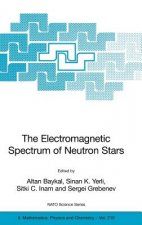 Electromagnetic Spectrum of Neutron Stars