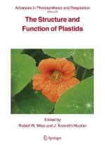 Structure and Function of Plastids