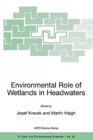 Environmental Role of Wetlands in Headwaters