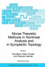 Morse Theoretic Methods in Nonlinear Analysis and in Symplectic Topology