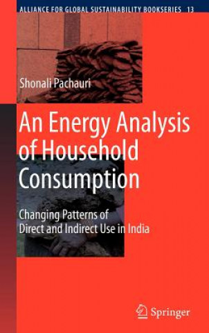 Energy Analysis of Household Consumption