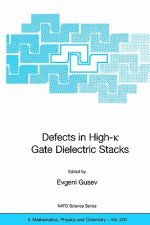 Defects in HIgh-k Gate Dielectric Stacks