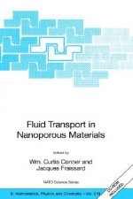 Fluid Transport in Nanoporous Materials