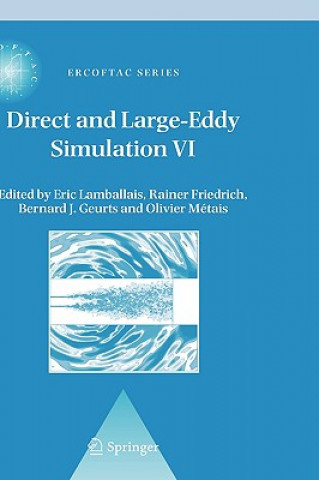 Direct and Large-Eddy Simulation VI
