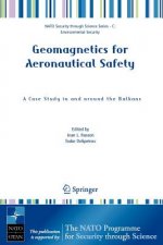Geomagnetics for Aeronautical Safety