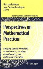 Perspectives on Mathematical Practices