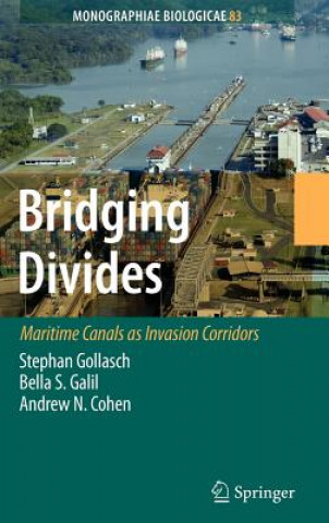Bridging Divides