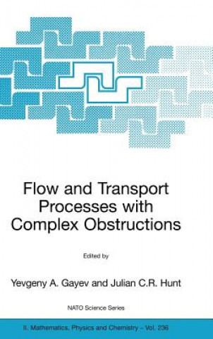 Flow and Transport Processes with Complex Obstructions