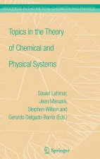 Topics in the Theory of Chemical and Physical Systems