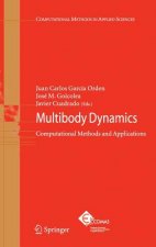 Multibody Dynamics