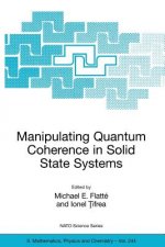 Manipulating Quantum Coherence in Solid State Systems