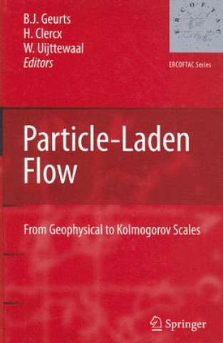 Particle-Laden Flow