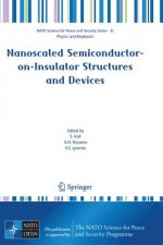 Nanoscaled Semiconductor-on-Insulator Structures and Devices
