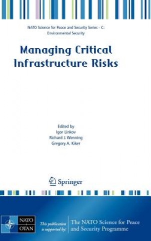 Managing Critical Infrastructure Risks