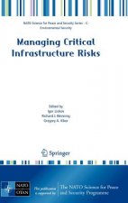 Managing Critical Infrastructure Risks