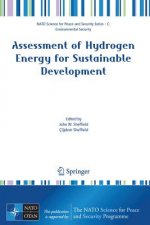 Assessment of Hydrogen Energy for Sustainable Development