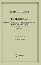 Lebenswelt