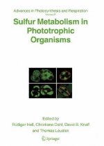 Sulfur Metabolism in Phototrophic Organisms