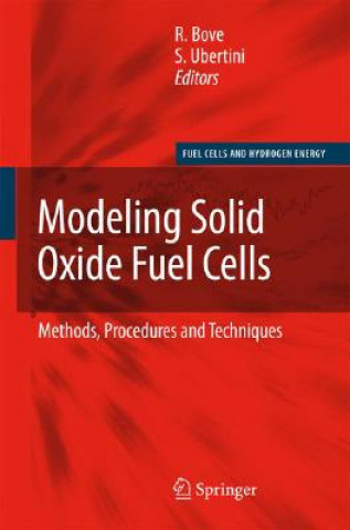 Modeling Solid Oxide Fuel Cells