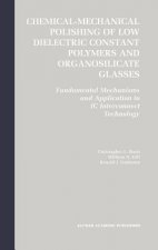 Chemical-Mechanical Polishing of Low Dielectric Constant Polymers and Organosilicate Glasses