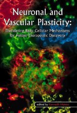 Neuronal and Vascular Plasticity