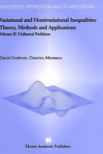 Variational and Hemivariational Inequalities - Theory, Methods and Applications