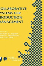 Collaborative Systems for Production Management