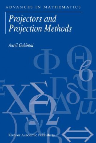 Projectors and Projection Methods