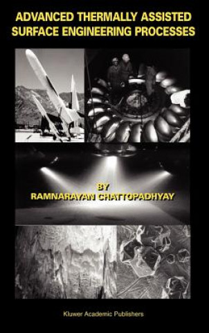 Advanced Thermally Assisted Surface Engineering Processes
