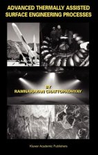 Advanced Thermally Assisted Surface Engineering Processes