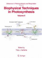 Biophysical Techniques in Photosynthesis