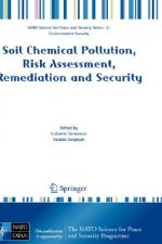 Soil Chemical Pollution, Risk Assessment, Remediation and Security