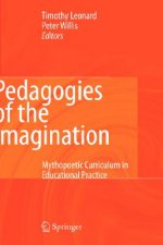 Pedagogies of the Imagination