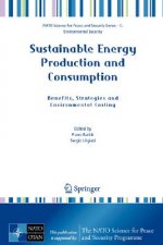 Sustainable Energy Production and Consumption