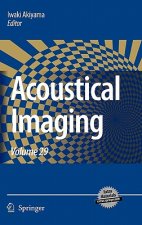 Acoustical Imaging