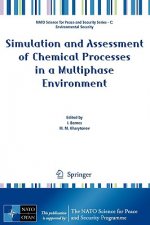 Simulation and Assessment of Chemical Processes in a Multiphase Environment