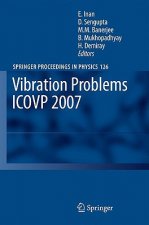 Vibration Problems ICOVP 2007