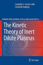 Kinetic Theory of Inert Dilute Plasmas