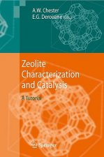 Zeolite Characterization and Catalysis