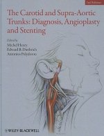 Carotid and Supra-Aortic Trunks - Diagnosis, Angioplasty and Stenting