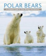 Polar Bears