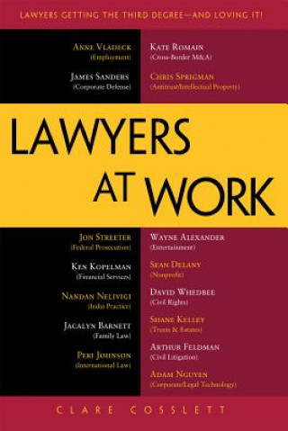Lawyers at Work